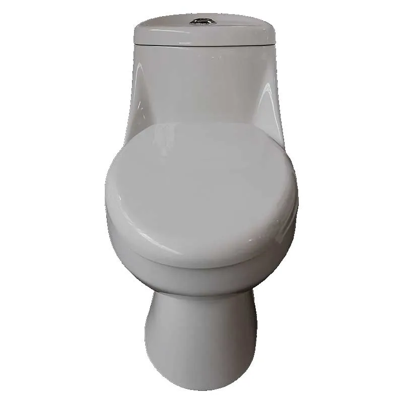 SANITARIO WC ONE PIECE ZEUS ECO