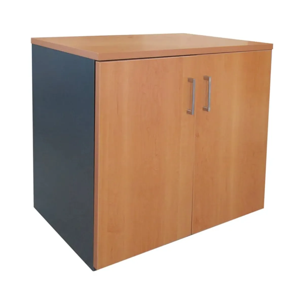GABINETE 2 PUERTAS PERAL/GRAFITO GB80